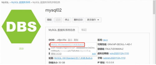 全面掌握甲骨文云 OCI MySQL 服務(wù) 從自動運維到高效管理的數(shù)據(jù)庫管理及咨詢實戰(zhàn)指南